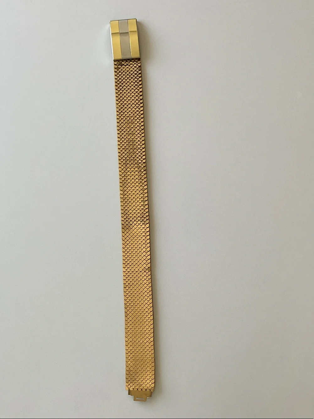 Vintage Fish Scale Stretch Belt Gold Mesh Belt with Metallic Accent unisex